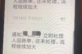 鄄城融资清欠服务